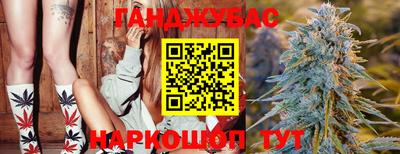 хмурый Гай