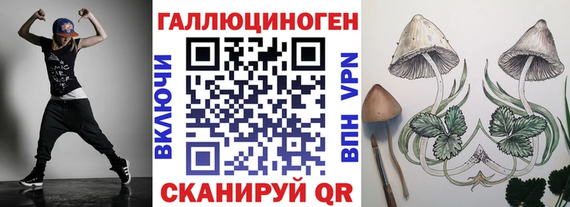 Галлюциногенные грибы Psilocybine cubensis  Александров 