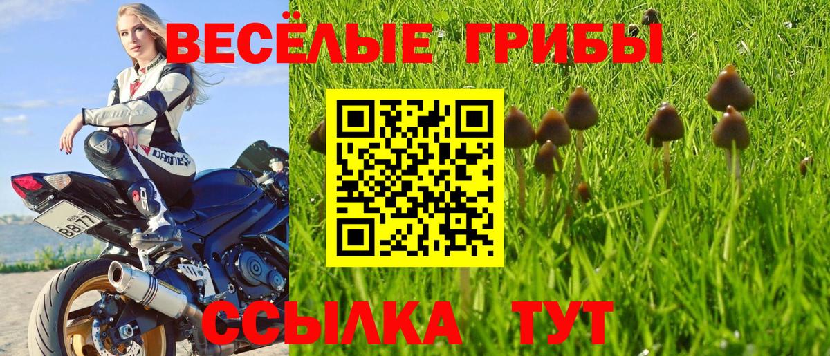 Псилоцибиновые грибы Magic Shrooms  Галлюциногенные грибы прущие грибы  где купить наркоту  Александров 