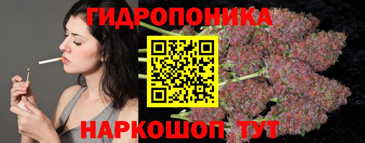 Бошки марихуана конопля Александров
